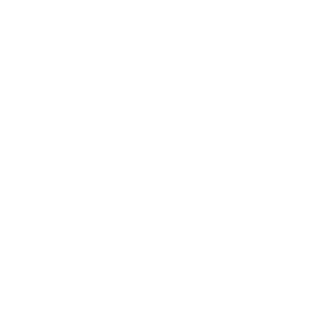 Nursing Leadership